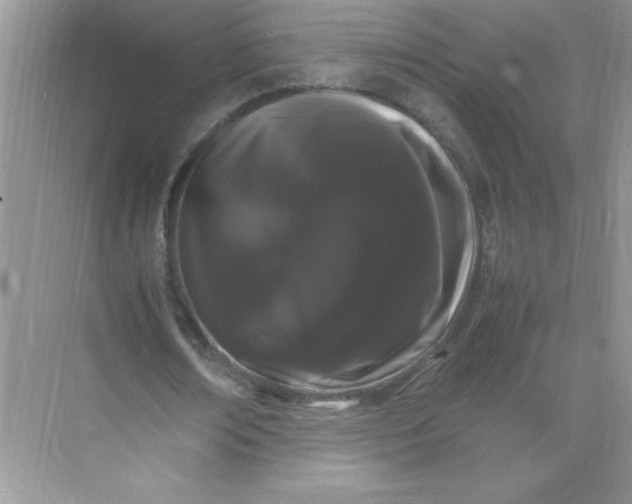 X0000071900674200607212017