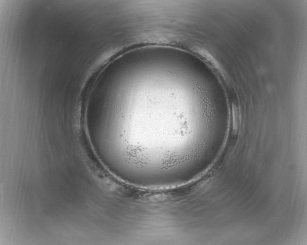 X0000071900675200607212017