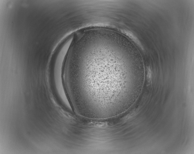 X0000071900676200607212017