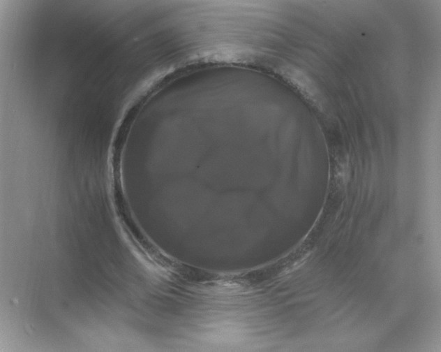 X0000071900678200607212017