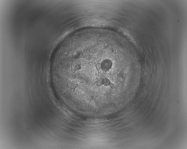 X0000071900679200607212017