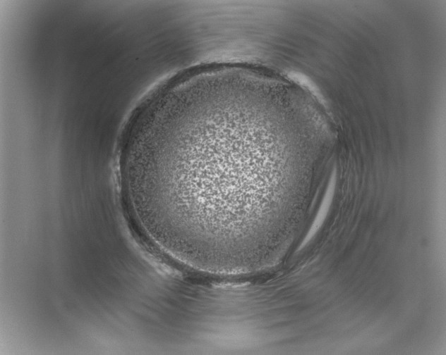 X0000071900680200607212017