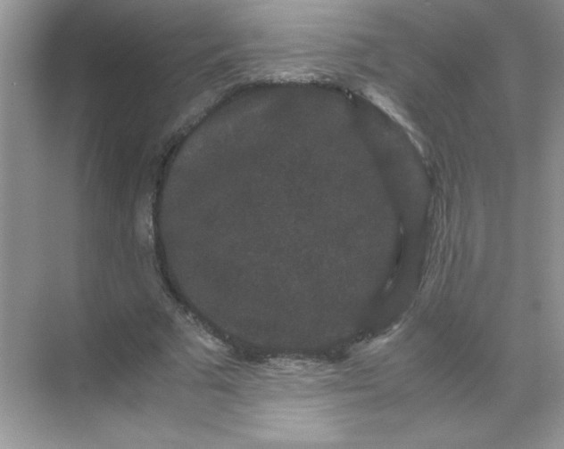 X0000071900681200607212017