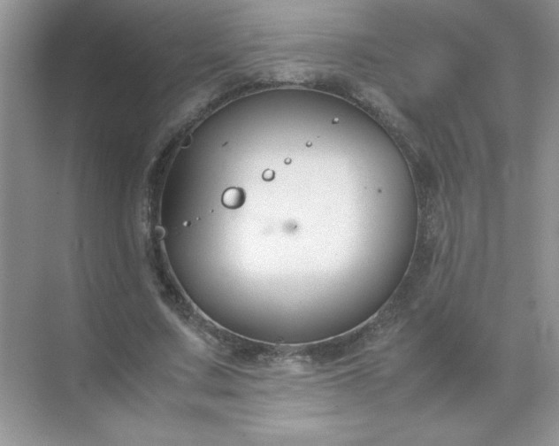 X0000071900683200607212017