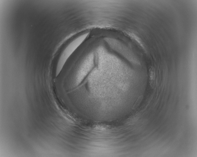 X0000071900684200607212017