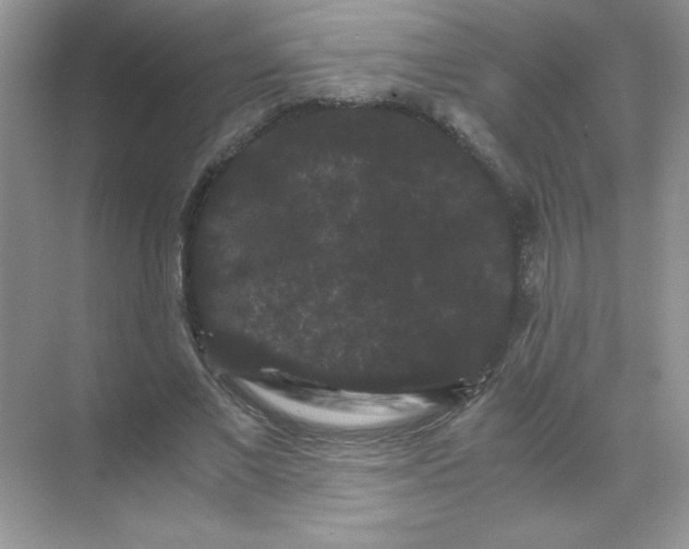 X0000071900685200607212017