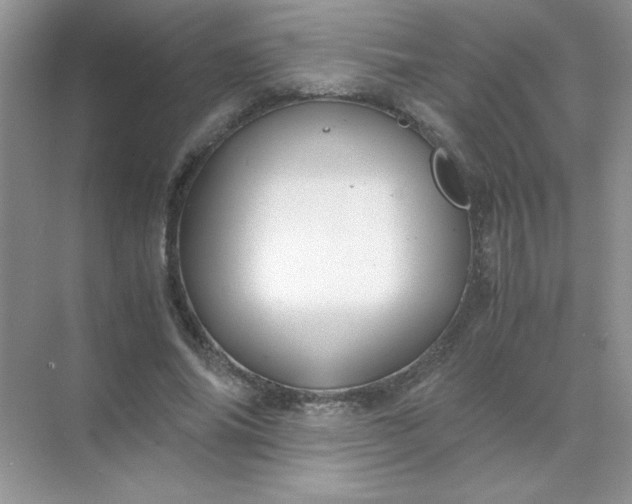 X0000071900686200607212017