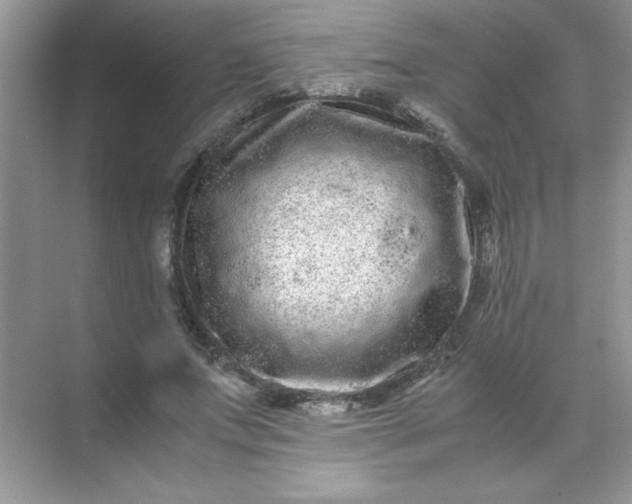 X0000071900687200607212017