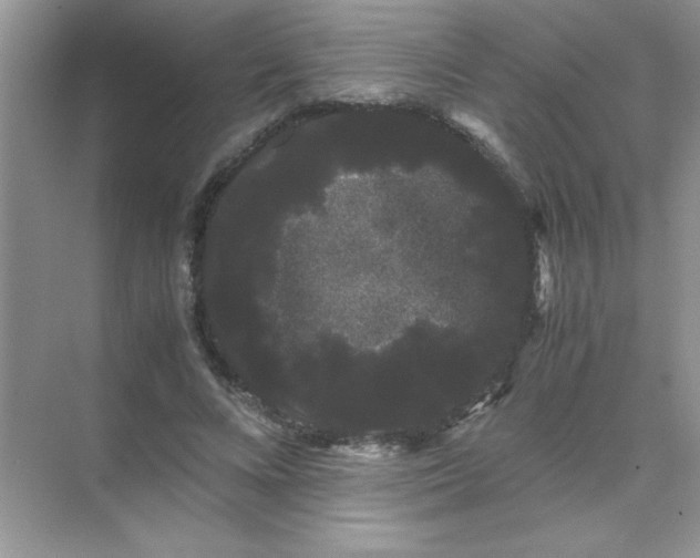 X0000071900688200607212017