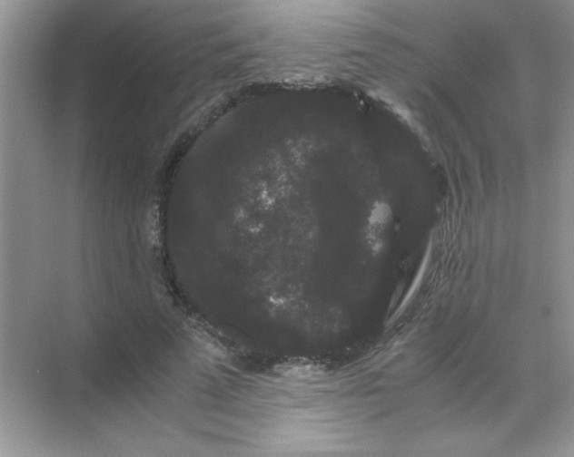 X0000071900689200607212017