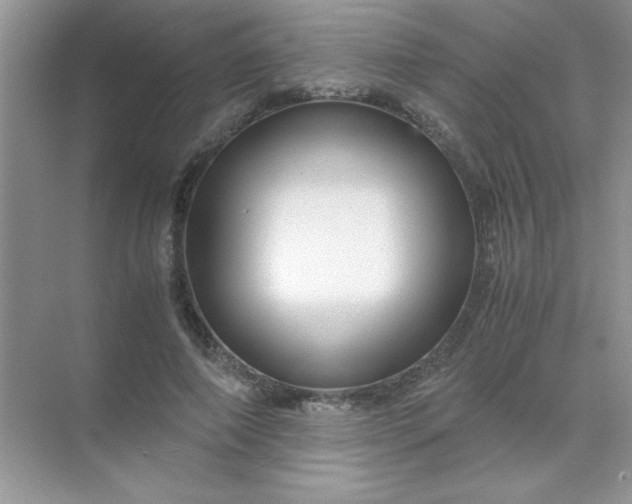 X0000071900690200607212017