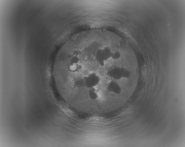 X0000071900691200607212017