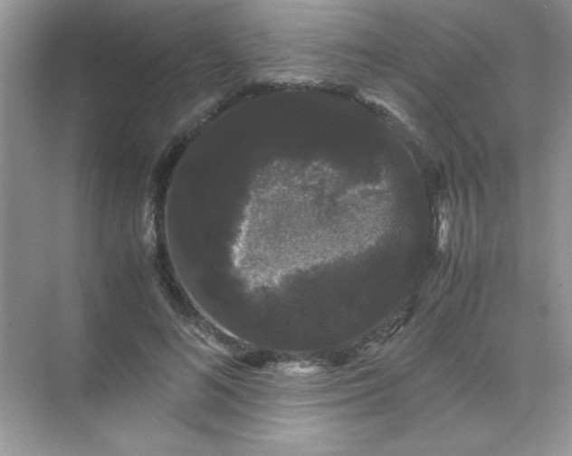 X0000071900692200607212017