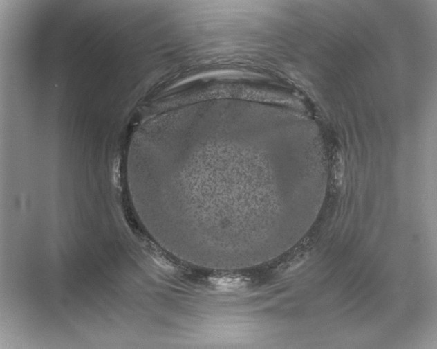 X0000071900693200607212017