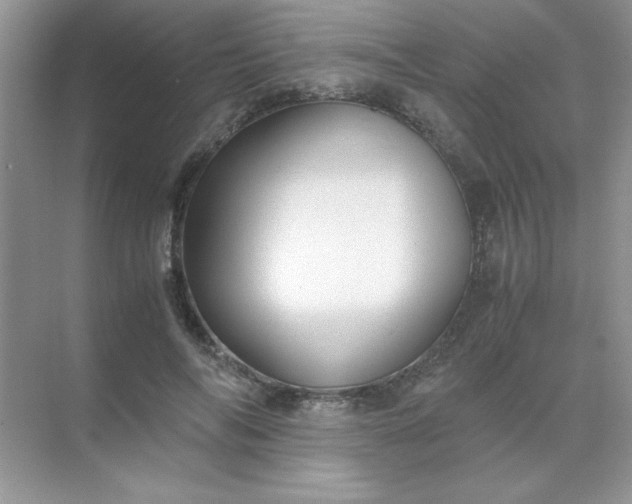 X0000071900694200607212017