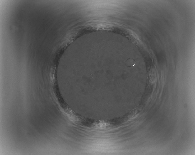 X0000071900695200607212017