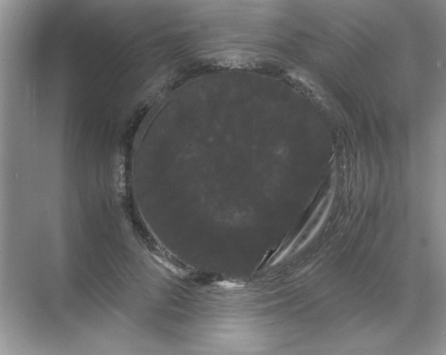 X0000071900696200607212017