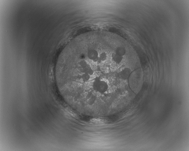 X0000071900699200607212017