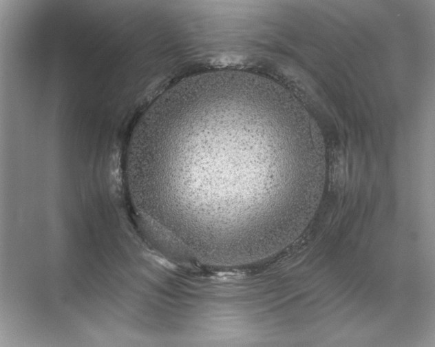 X0000071900700200607212017