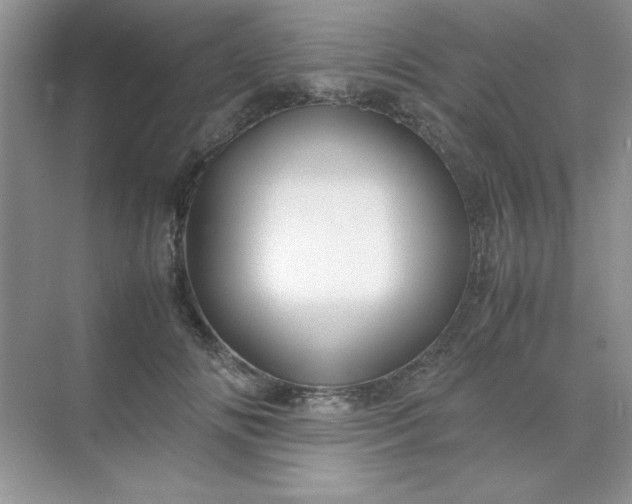 X0000071900702200607212016