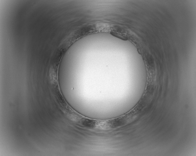 X0000071900705200607212016