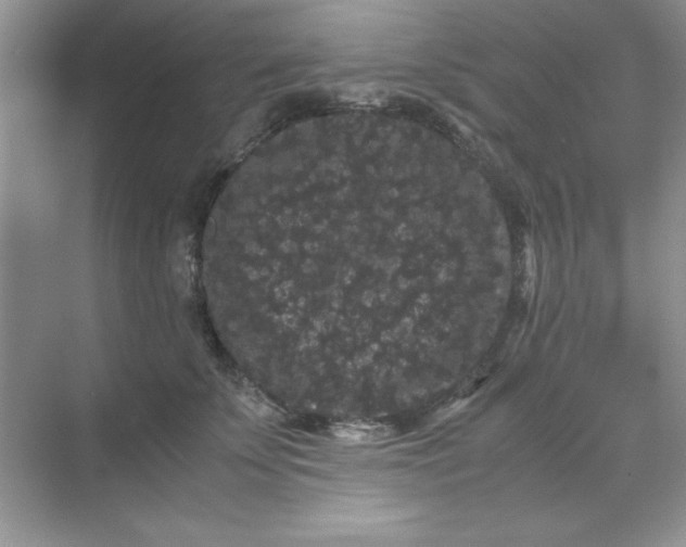 X0000071900707200607212016