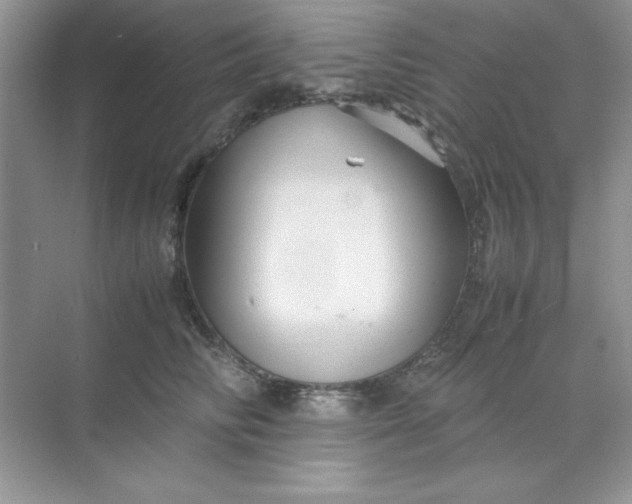 X0000071900710200607212016