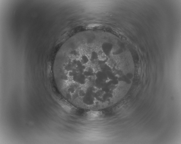 X0000071900711200607212016