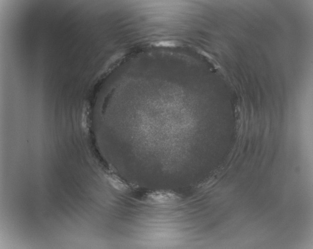 X0000071900712200607212016