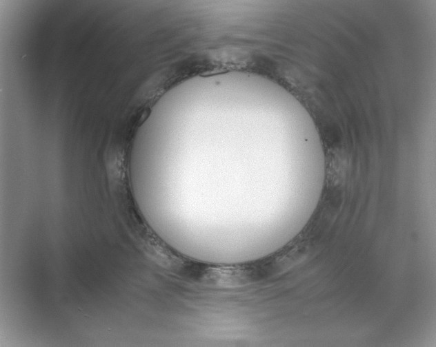 X0000071900713200607212016