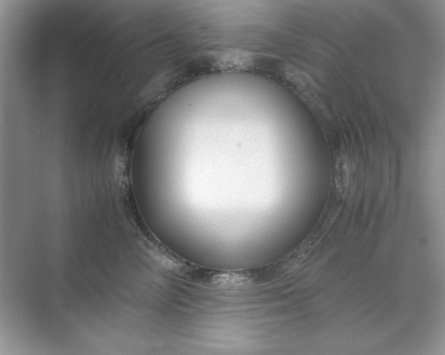 X0000071900714200607212016