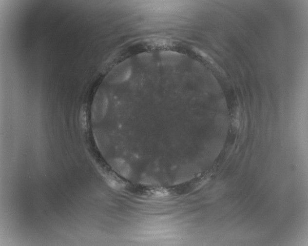 X0000071900715200607212016