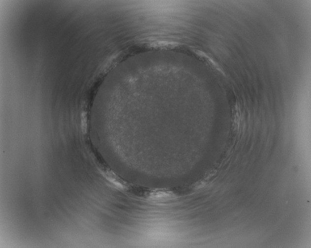 X0000071900716200607212016