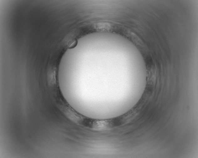 X0000071900717200607212016