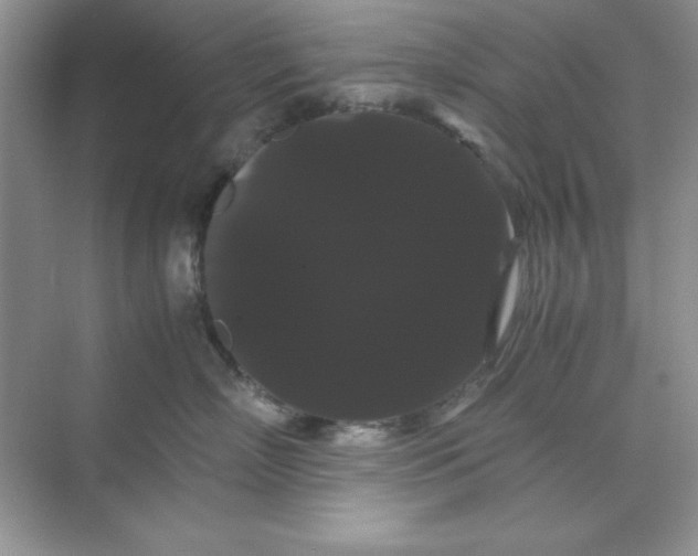 X0000071900718200607212016