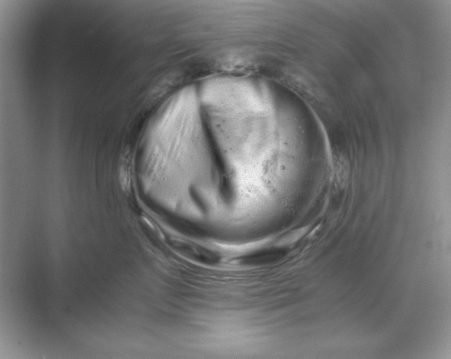 X0000071900719200607212016