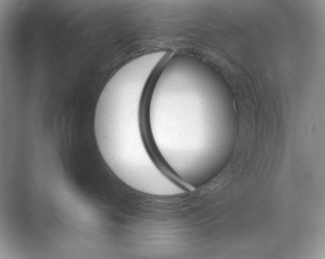 X0000071900720200607212016