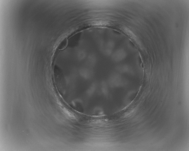 X0000071900721200607212015