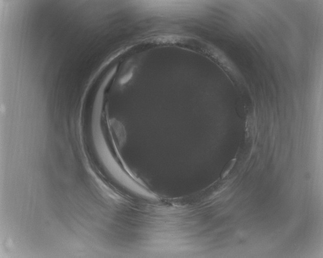 X0000071900722200607212015