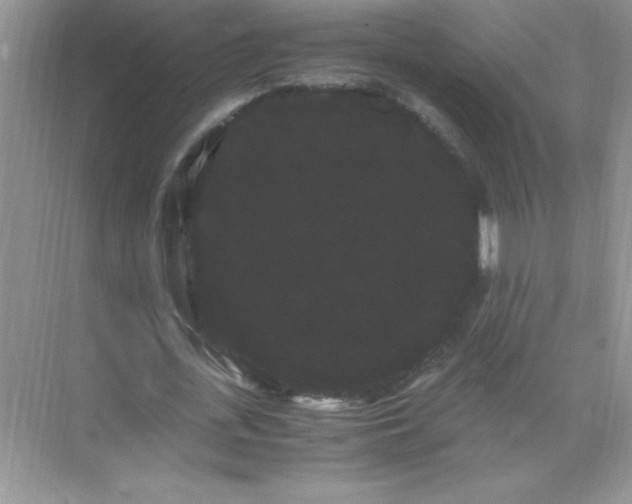 X0000071900723200607212015