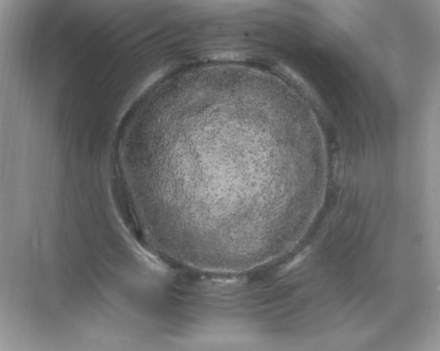 X0000071900725200607212015