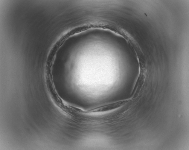 X0000071900726200607212015