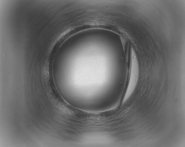 X0000071900727200607212015