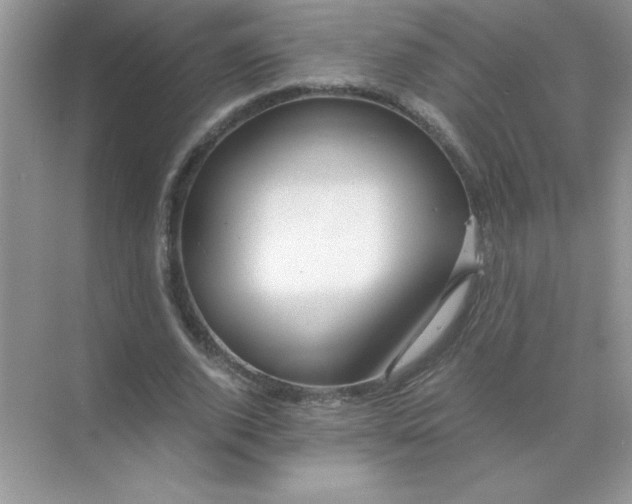 X0000071900728200607212015