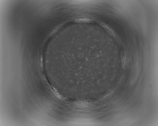 X0000071900729200607212015