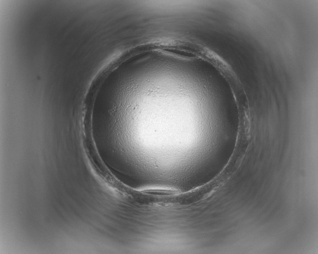 X0000071900730200607212016