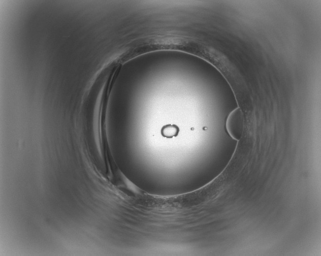 X0000071900731200607212016