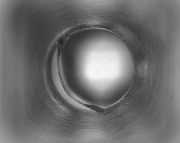 X0000071900732200607212016