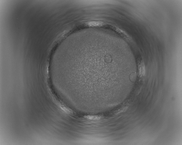 X0000071900733200607212016