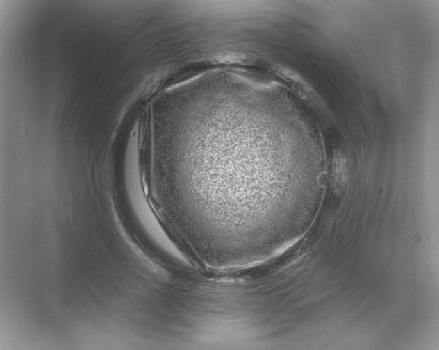 X0000071900734200607212016